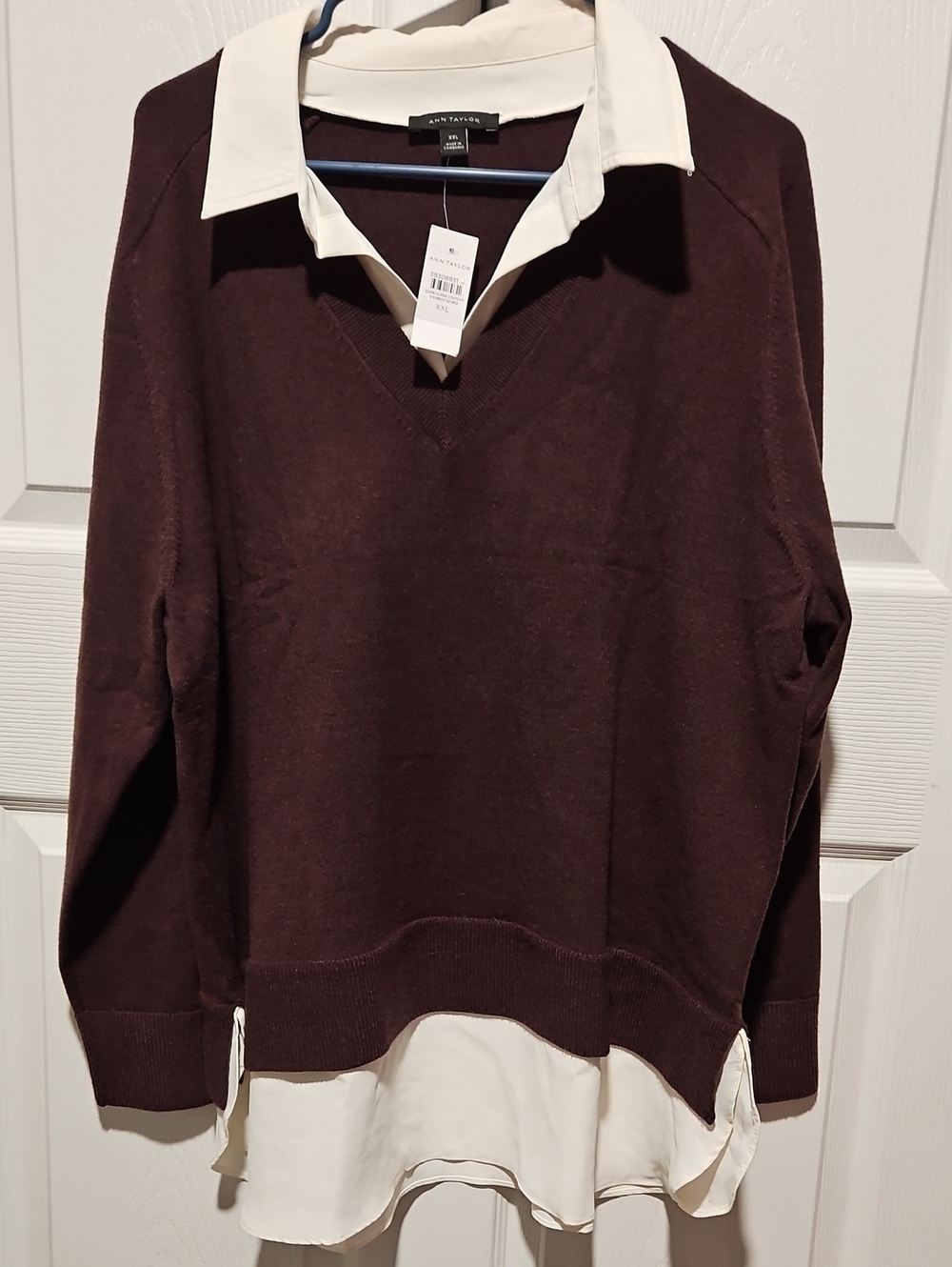 Ann Taylor Men's Dark Brown V-Neck Sweater with Ivory Shirt Hem